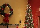 Christmas and NewYears 2011